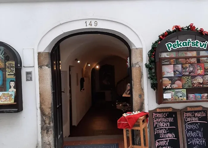 Egon Schiele Český Krumlov